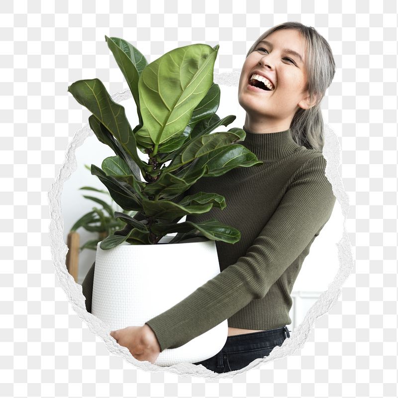 Plant lover png, holding houseplant | Free PNG - rawpixel