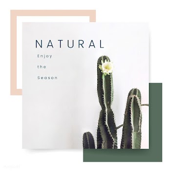 Plant lover template | Free stock vector - 579551