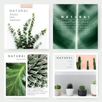 Plant lover template | Free stock vector - 579555