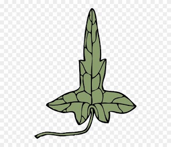 Plant, Medicine, Extract, Medical, Ivy, Herbal - Clip Art