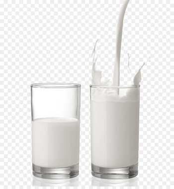 Plant milk Glass Cup Dairy product - Two glasses of milk 