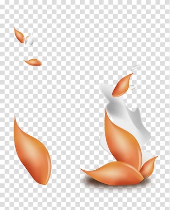 Plant milk , Oat milk leaves and flowers transparent background PNG clipart