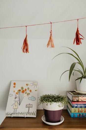 Plant on Table