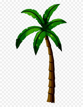 Plant - Palm Tree Clip Art