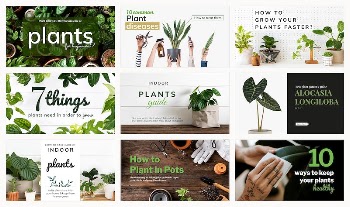 Plant parent beginner template psd | Free PSD - rawpixel