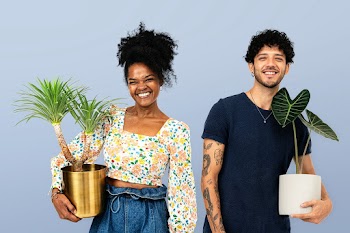Plant parent couple holding potted… | Free stock photo | High Resolution image