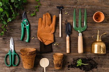 Plant parent gardening tools flat lay | Free stock photo | High Resolution image