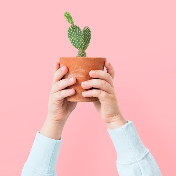 Plant parent holding potted cactus  | Free stock photo | High Resolution image