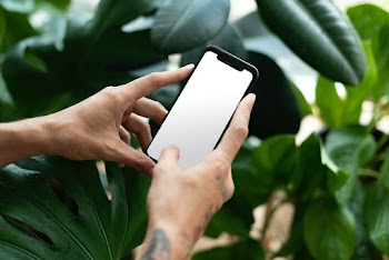 Plant parent using smartphone with blank… | Free stock photo | High Resolution image