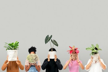 Plant parents holding potted plants… | Free stock photo | High Resolution image