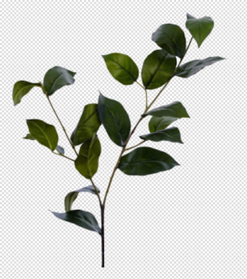 plant / polyvore | polyvore in 2019 | Fake flower arrangements ...