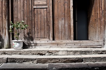 Plant Pot Near Door