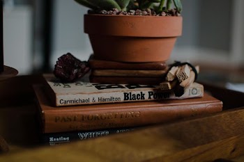 plant pot on books