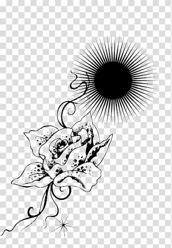 Plant Rose Black White, Black and white roses transparent background PNG clipart