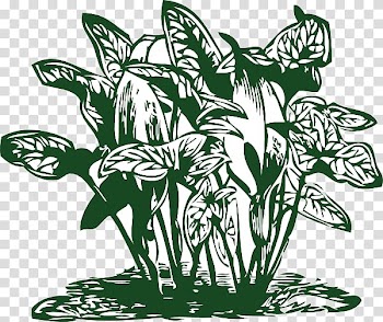 Plant Scalable Graphics , Vegetation transparent background PNG clipart