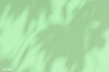 Plant shadow on a green background | Free  illustration - 2341504