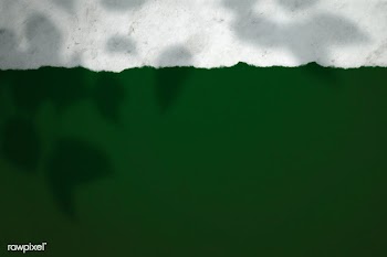 Plant shadow on a green background | Free  illustration - 2343461