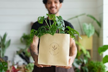 Plant shop business owner delivery packaging | Free stock photo | High Resolution image