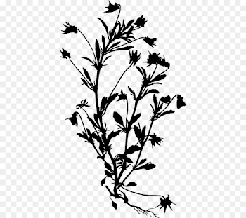 Plant Silhouette Png (106+ images in Collection) Page 2