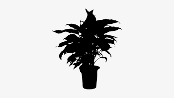 Plant Silhouette Png (106+ images in Collection) Page 3
