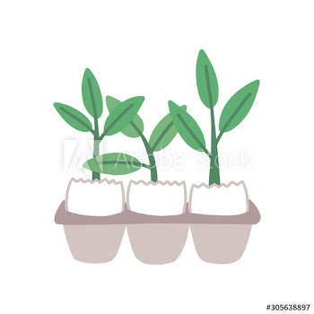 Plant sprouts in eggshell flat vector illustration