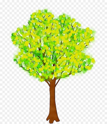 Plant stem Branching Plants -  