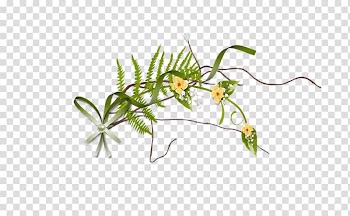 Plant stem Flower Grasses Branch Autumn, flower transparent background PNG clipart