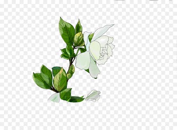 Plant stem Flower Leaf Product design - gardena flower 