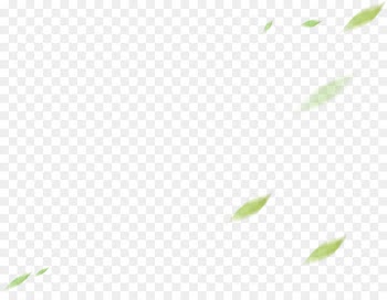 Plant stem Leaf Desktop Wallpaper Font Computer - langur gris 