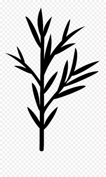 Plant stem Leaf Flower Font Commodity -  