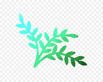 Plant stem Leaf Font Plants -  