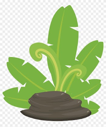 Plant Stone Vector 1599*1832 Transprent Png Free Download - Download