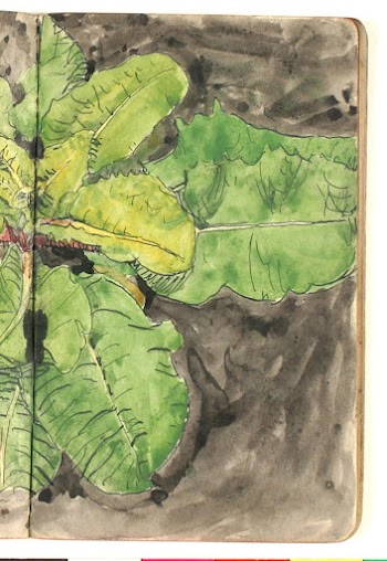 Plant study by Niels Larsen | Free Photo - rawpixel