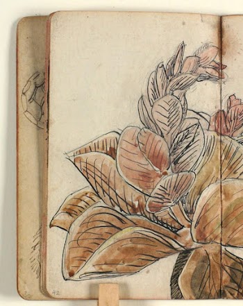 Plant study by Niels Larsen | Free Photo - rawpixel