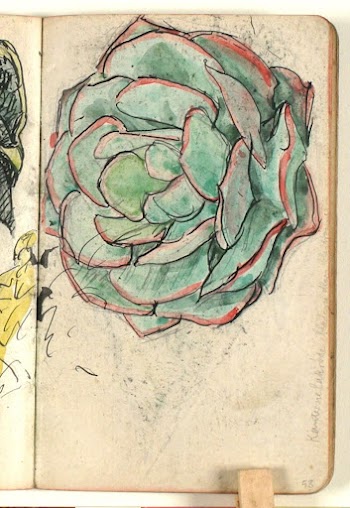 Plant study with color indications | Free Photo - rawpixel