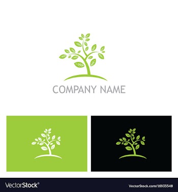  					Plant tree organic botany nature logo vector image														
