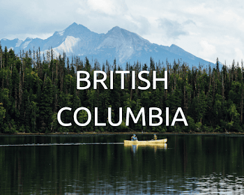 Plant Trees in B.C. | Reforestation Projects | One Tree Planted