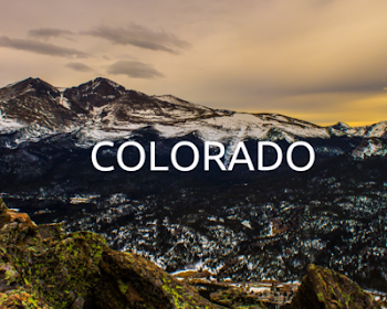 Plant Trees in Colorado | Reforestation Projects | One Tree Planted
