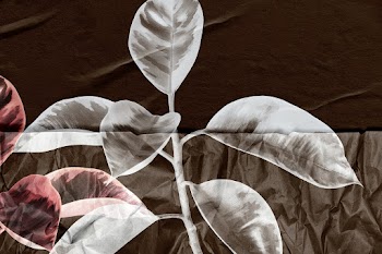 Plant with crinkled paper texture remixed… | Free stock illustration | High Resolution graphic