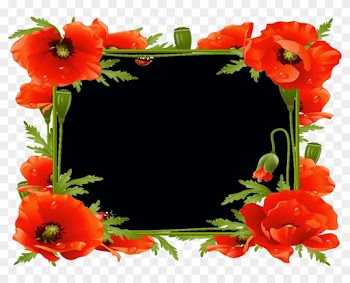 Plantillas Para Adornar Marcos Para Photoscape, Photoshop - Orange Flowers Photo Frame Transparent