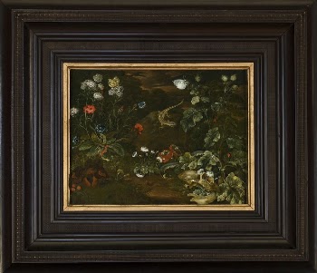 Plants and animals, 1677 - | Free Photo - rawpixel