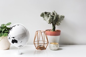 Plants And Table Decorations
