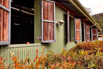 Plants Beside Building