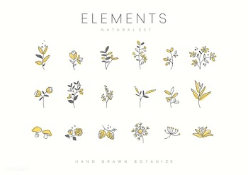 Plants design set | Free stock vector - 523468