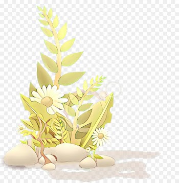 Plants, Flowering Plant, Flower, Plant, Flowerpot PNG