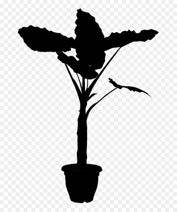 Plants Flowering plant Plant stem Clip art -  