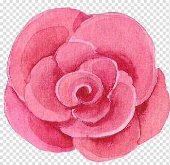 , Plants flowers floral design material transparent background PNG clipart