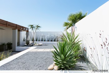 Plants growing on sunny modern patio
