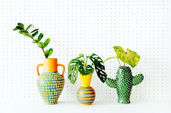 Plants in colorful ethnic vase | Free stock photo | High Resolution image