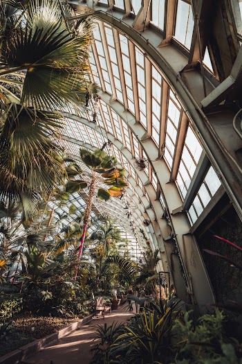 Plants Inside Building